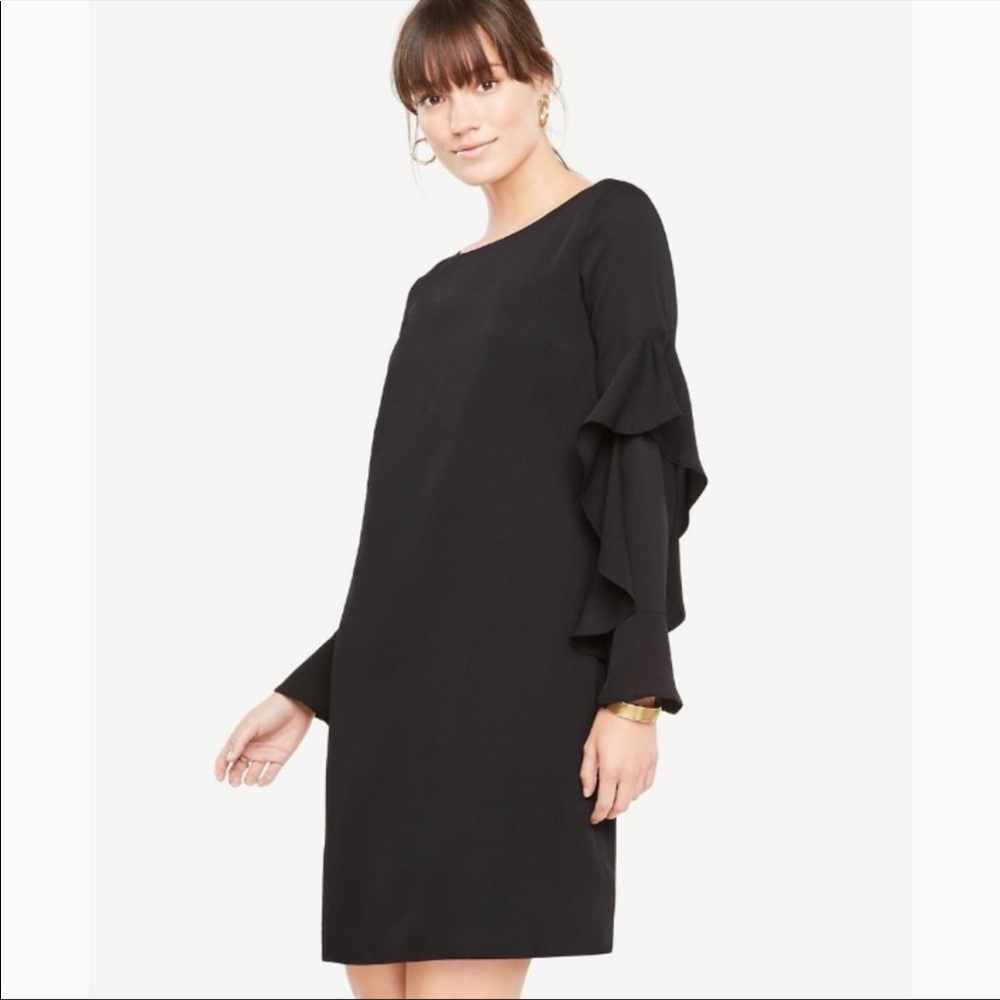 NWT Ann Taylor ruffle sleeve dress